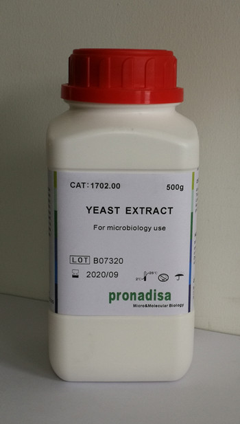 西班牙进口酵母浸粉Yeast Extract 也叫酵母粉、酵母提取物